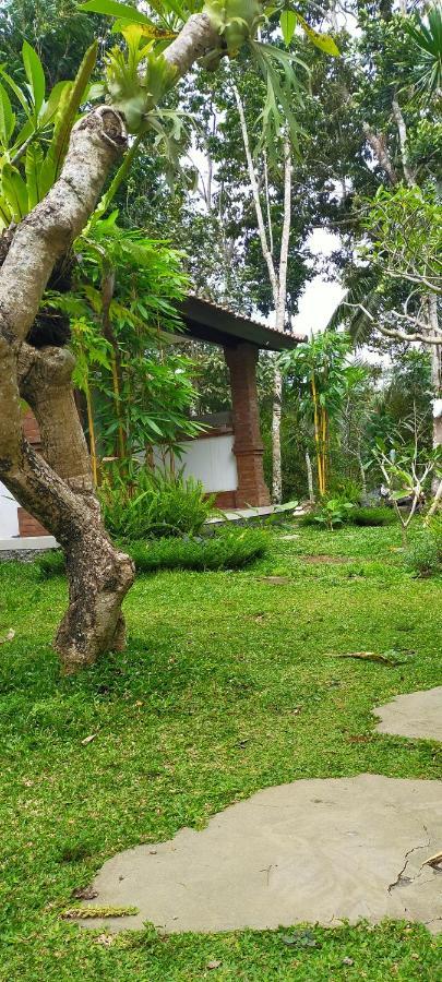 شقة Tangkas House Tampaksiring المظهر الخارجي الصورة